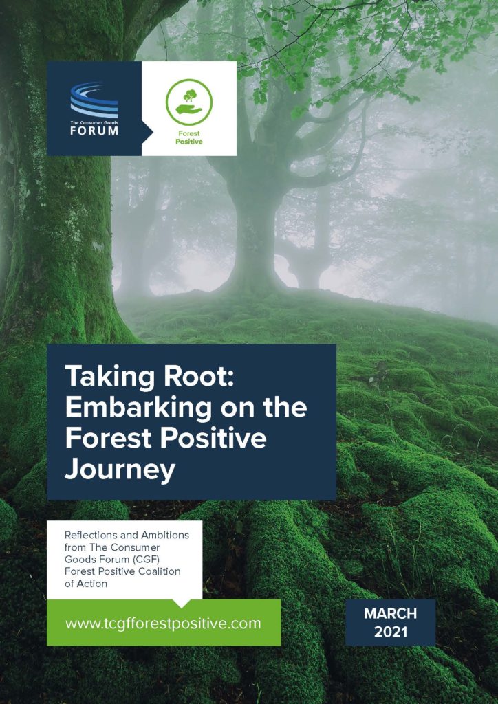 Taking Root: Embarking on the Forest Positive Journey