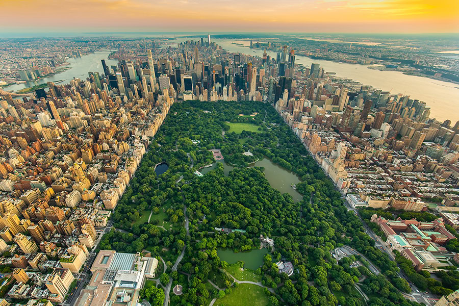 The CGF at New York Climate Week 2024: Climate Action at the Core of Our Sustainability Vision