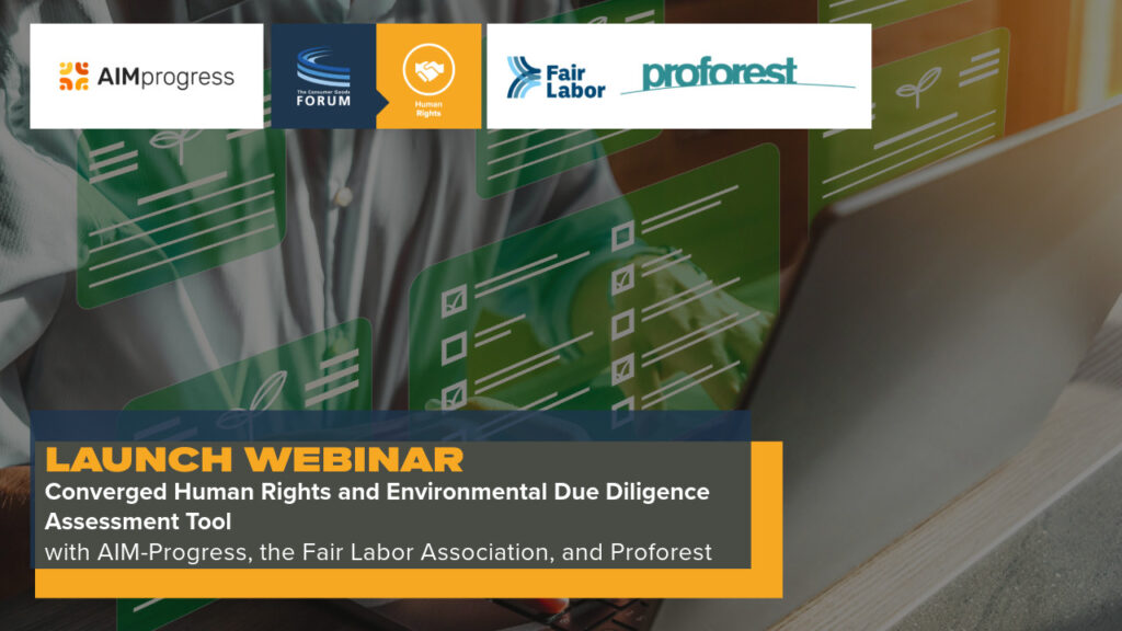 Launch Webinar: Converged Human Rights and Environmental Due Diligence Assessment Tool