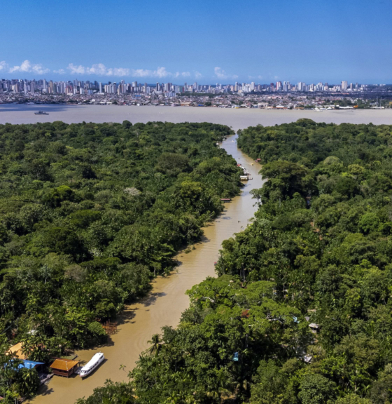 Net-Zero Challenge: the Supply Chain Opportunity