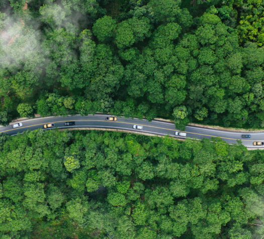 The Business Case for Nature: A Catalyst for Resilience and Opportunities with Quantis (Jan 2026)