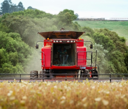 DCF supply chains 