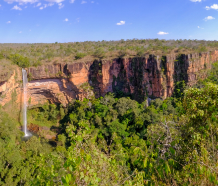 Forest Positive landscapes 