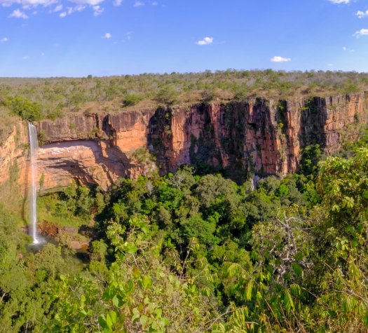 Forest Positive Landscapes 