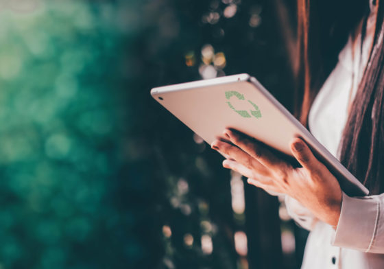 Assessing sustainability standards against defined benchmark criteria 