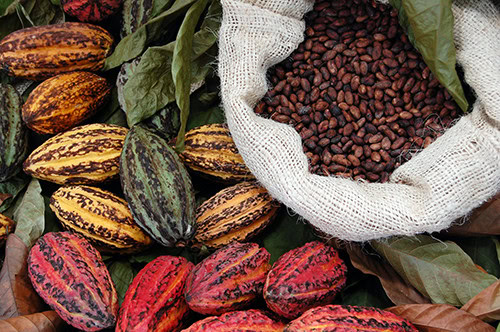 COCOA: Mondelēz International (Nov 26th 2024)