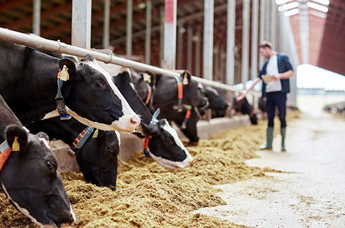 DAIRY: Danone (May 30th 2024)
