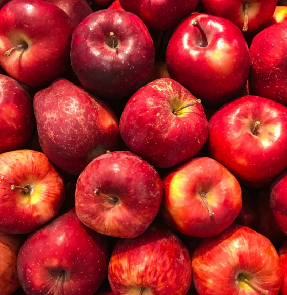 Grupo Exito Shares Their Business Case For Supplier Engagement on Food Waste