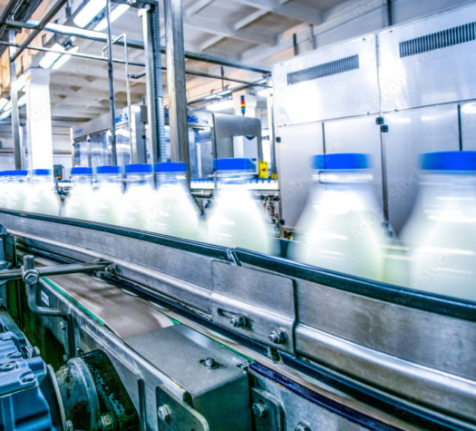 DAIRY: Bel Group (Oct 23rd 2024)