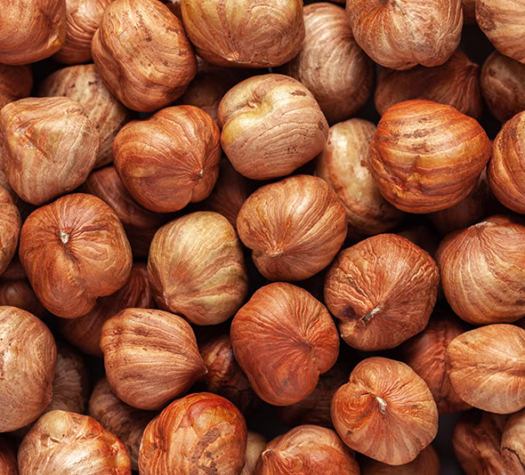 HAZELNUTS: Ferrero (June 26th 2025)